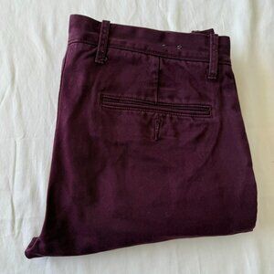 J. Crew 484 Broken In Chino